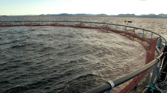 Workshop om klimarapportering