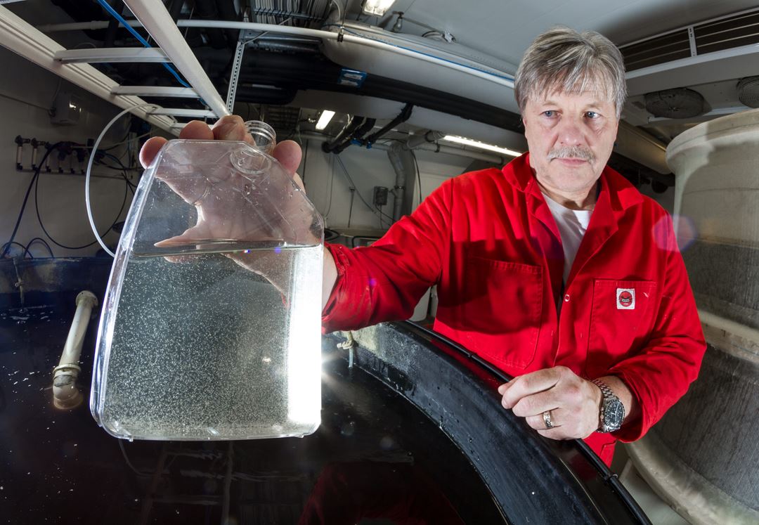Mann i rød dress står på laboratorium. Over et stort kart med vann holder han en glassbeholder fylt med vann som inneholder bittesmå levende krepsdyr som er yngelfôr.