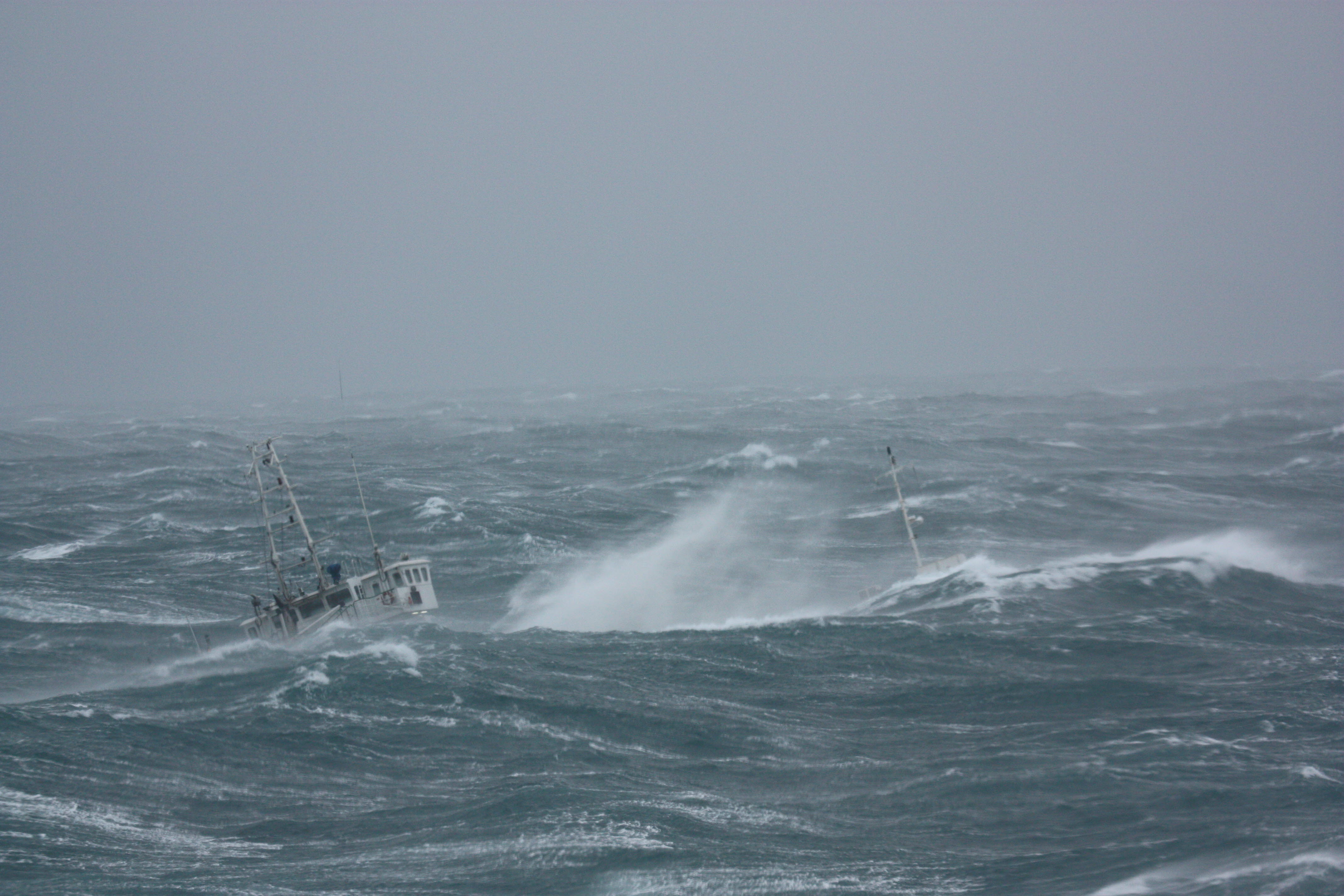 Nød- og havslep på dagsorden