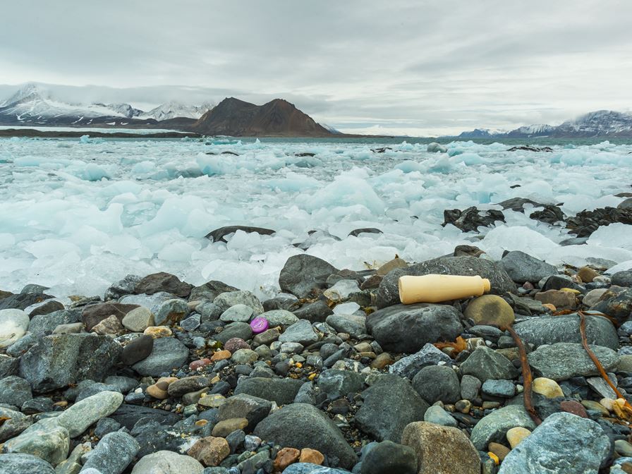 GOMPLAR - Governance of Marine Litter in the Arctic