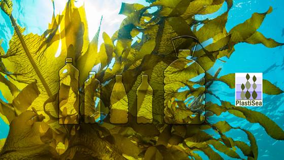 PlastiSea - Novel enhanced bioplastics from sustainable processing of seaweed