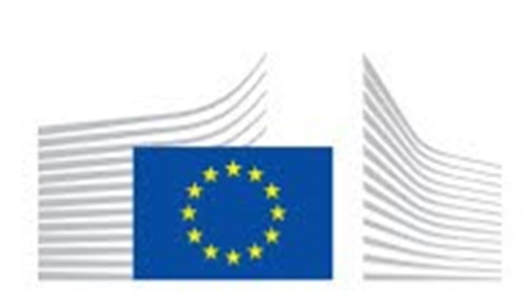 EU AI White Paper