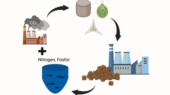 SymbiForklart: Utforsk industrielle symbioser for en bærekraftig fremtid
