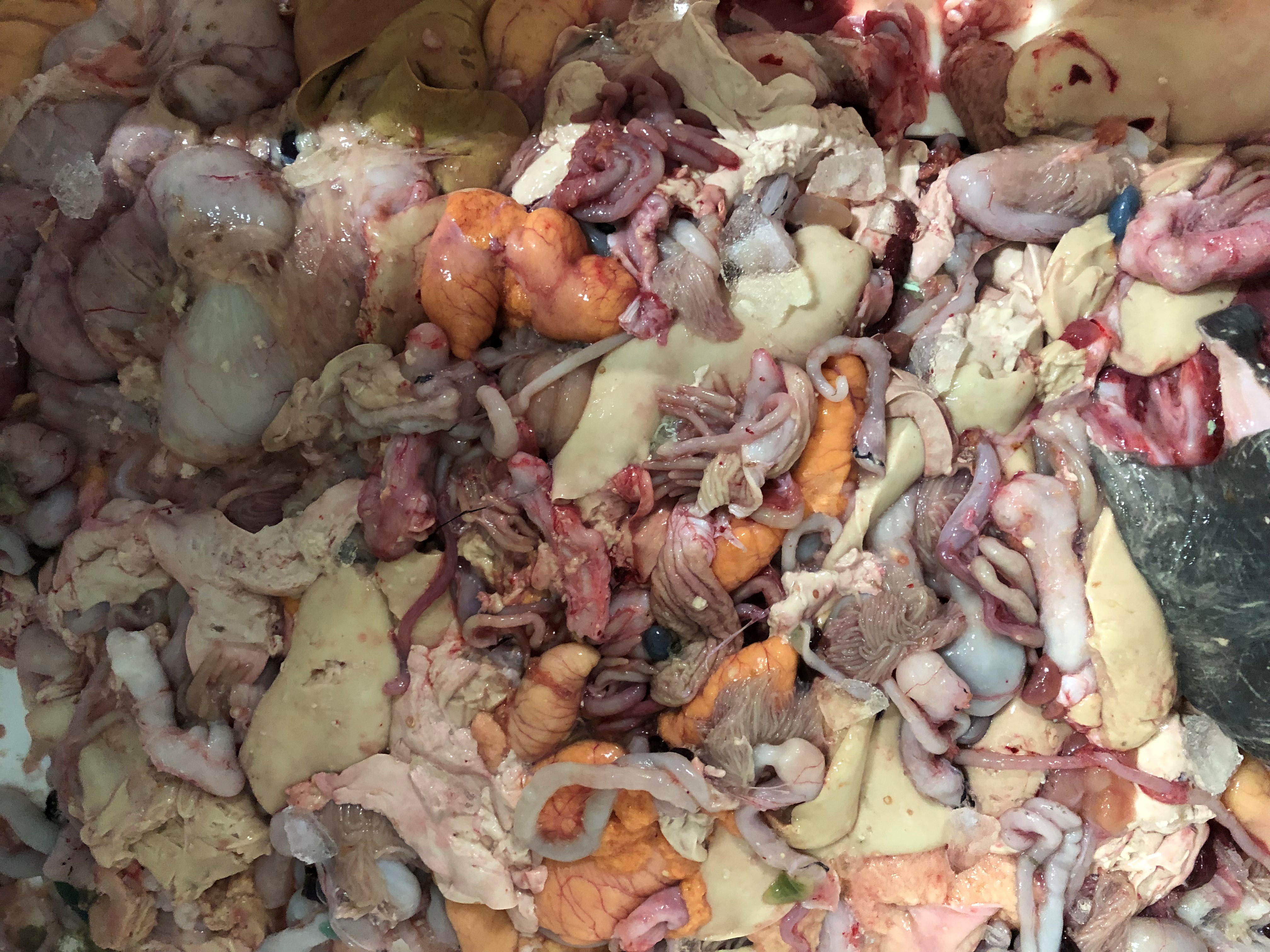 Photo of various rest raw materials from fish