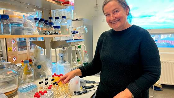 Seaweed fermentation, Sveriges radio P4, February 2025