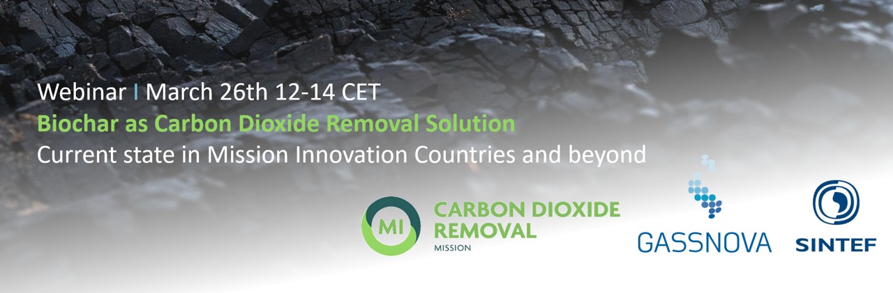 Biochar as a Carbon Dioxide Removal Solution