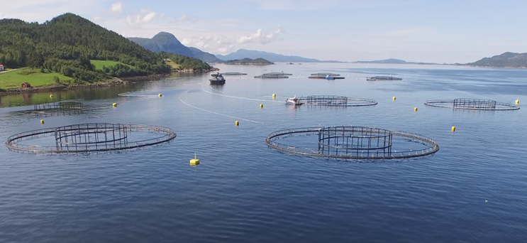 Norwegian fjords and salmon cages
