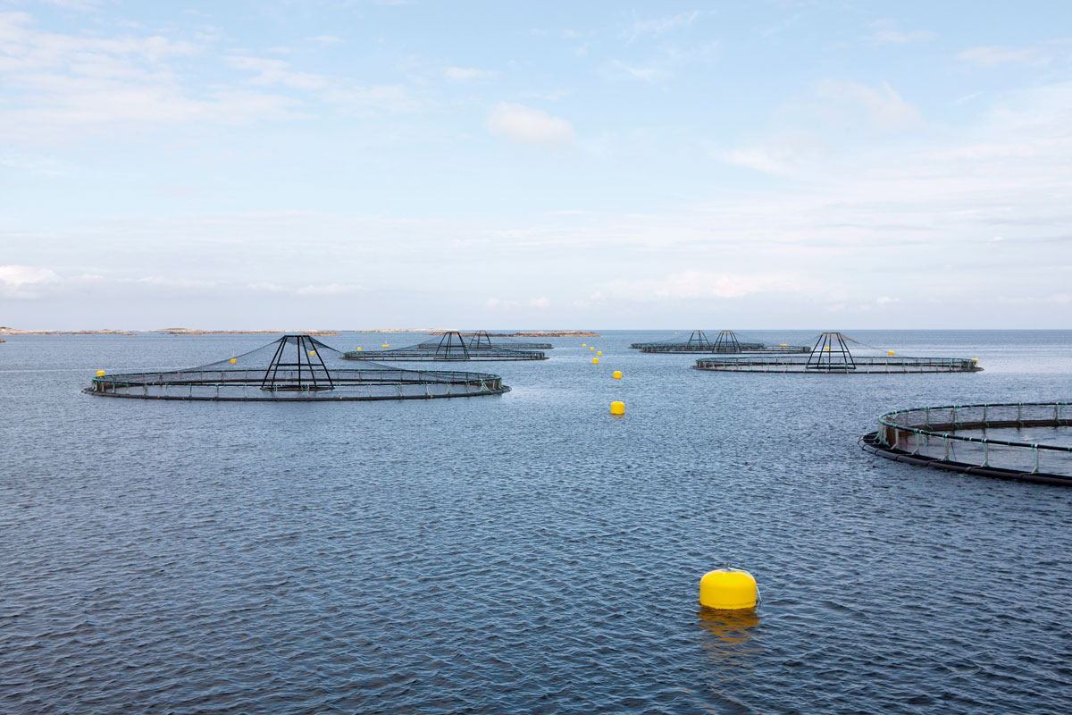 ACE - full scale aquaculture laboratory