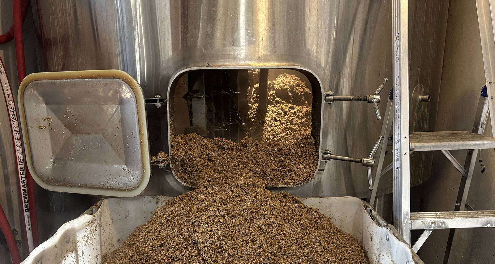 BYEAST - bedre gjærbasert protein gjennom stammeutvikling