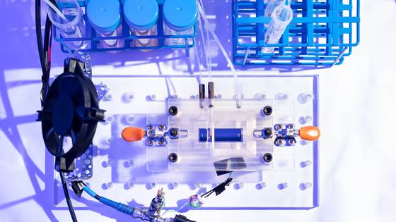Microfluidic sample preparation for concentrating bacteria from bodily fluids