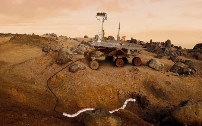 Snake robot on Mars?