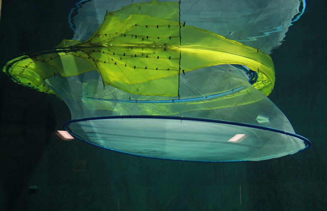 Merd med luseskjørt i modell