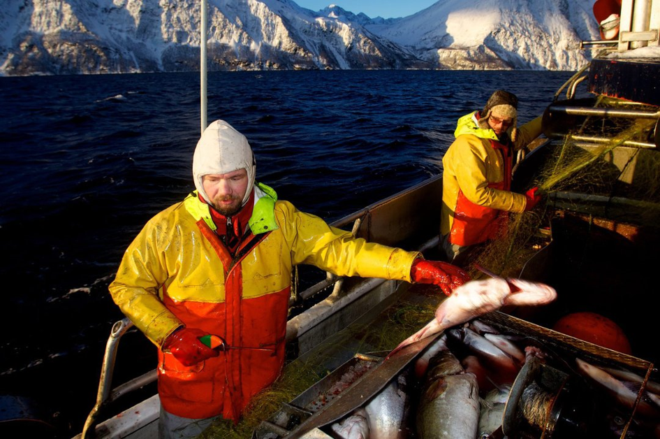 Menn på fiskebåt i fjord med høye fjell