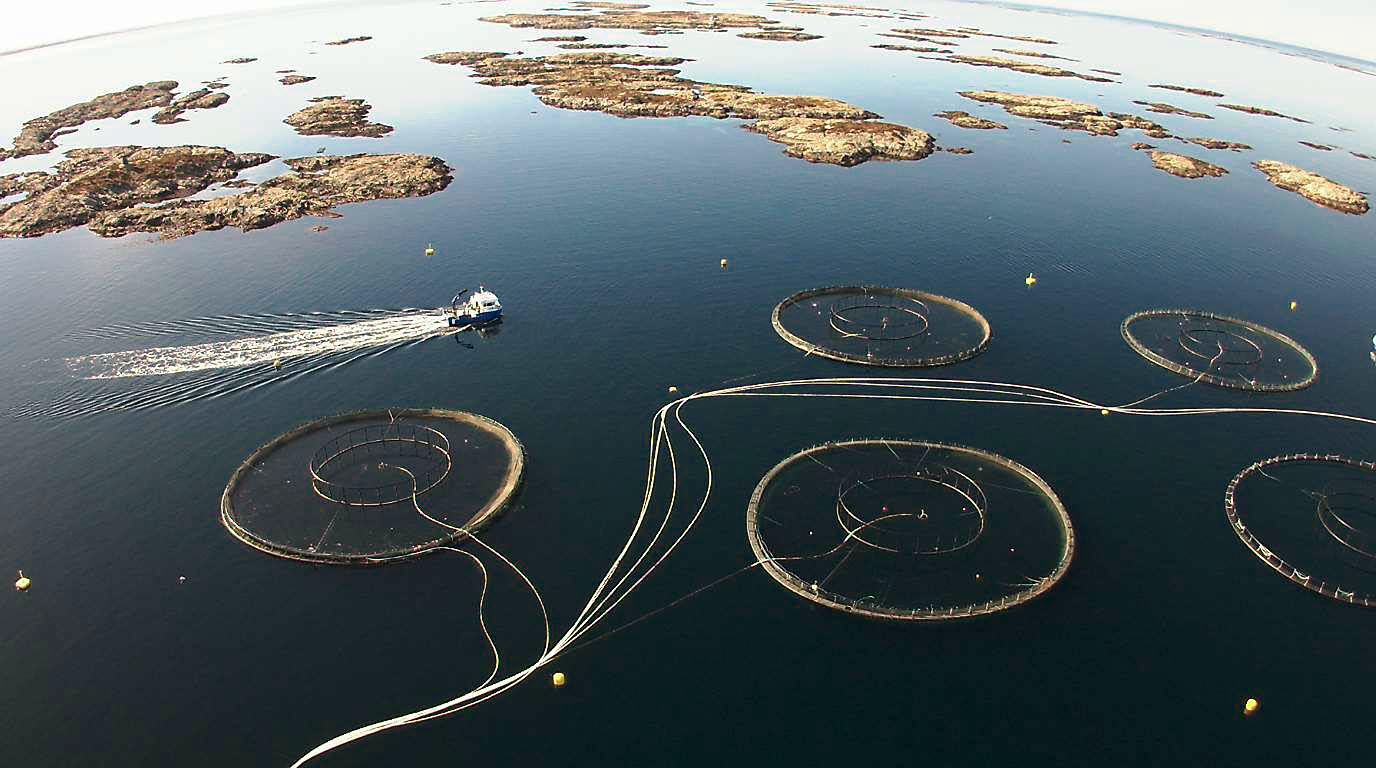 Preventive tiltak for redusert smittespredning mellom havbruksanlegg og fartøy (TRESS)