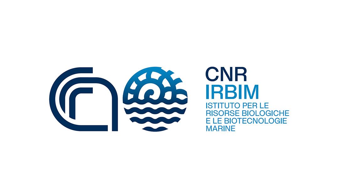 CNR logo