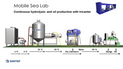 Continuous hydrolysis- and oil production with tricanter