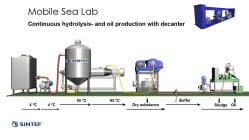 Continuous hydrolysis- and oil production with decanter