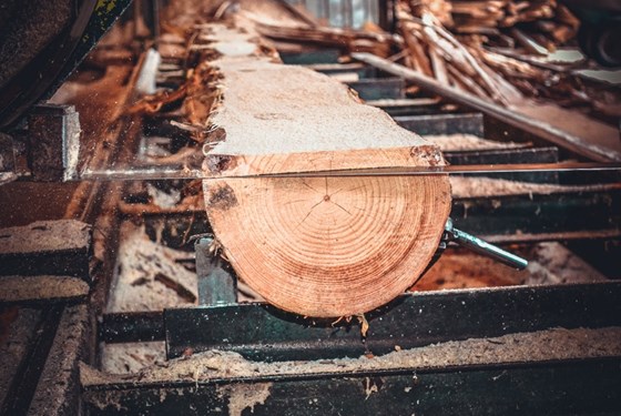 Sawdust becomes environmentally friendly fish feed - Vimarsana News
