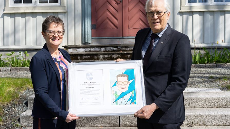 Gerd Kjølle receives NTVA's honorary award for her smart grid research