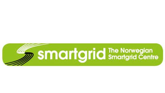 Digitalisering i energi-/nettselskapene for å skape neste generasjon kraftsystem