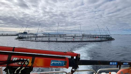 Innovasjon i havbruk: Barrierer og løsninger for forbedret teknologiutvikling (Innovasjonsløftet)