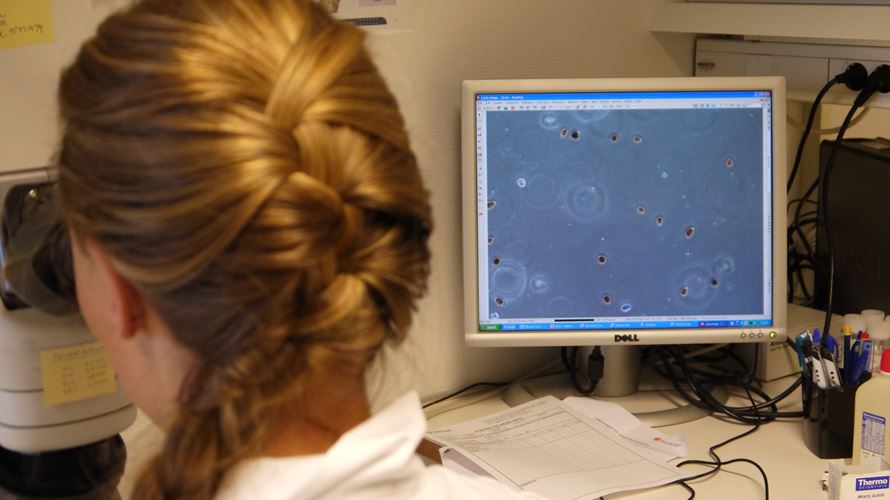 SINTEF Ocean avslutter tjenesten "Analyse av algeprøver"
