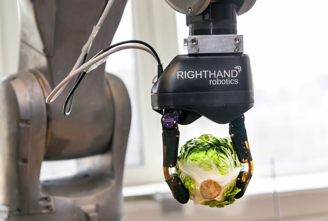 Grasping of fragile food objects such as lettuce. Credit: TYD/SINTEF