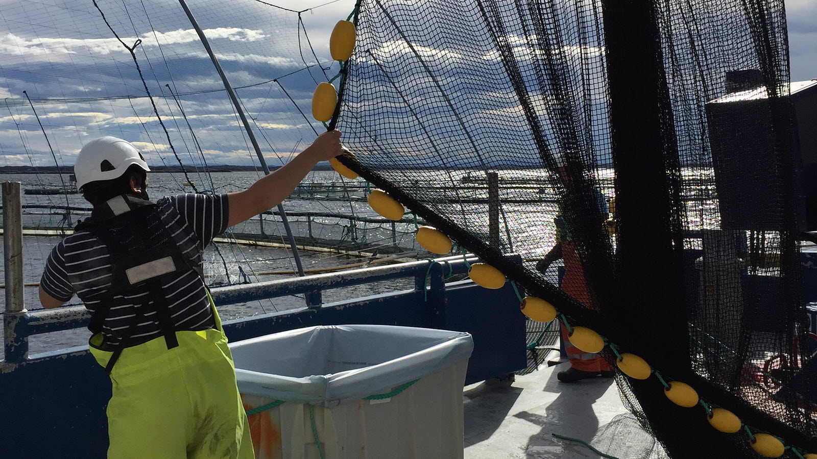 Mann på oppdrettsanlegg