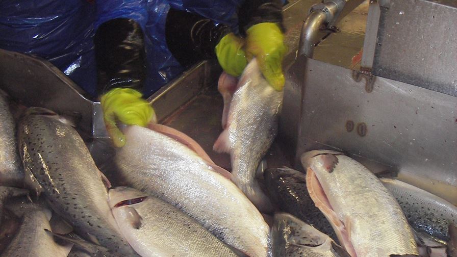 Leverandørindustrien er avgjørende for videreutvikling av norsk sjømatnæring