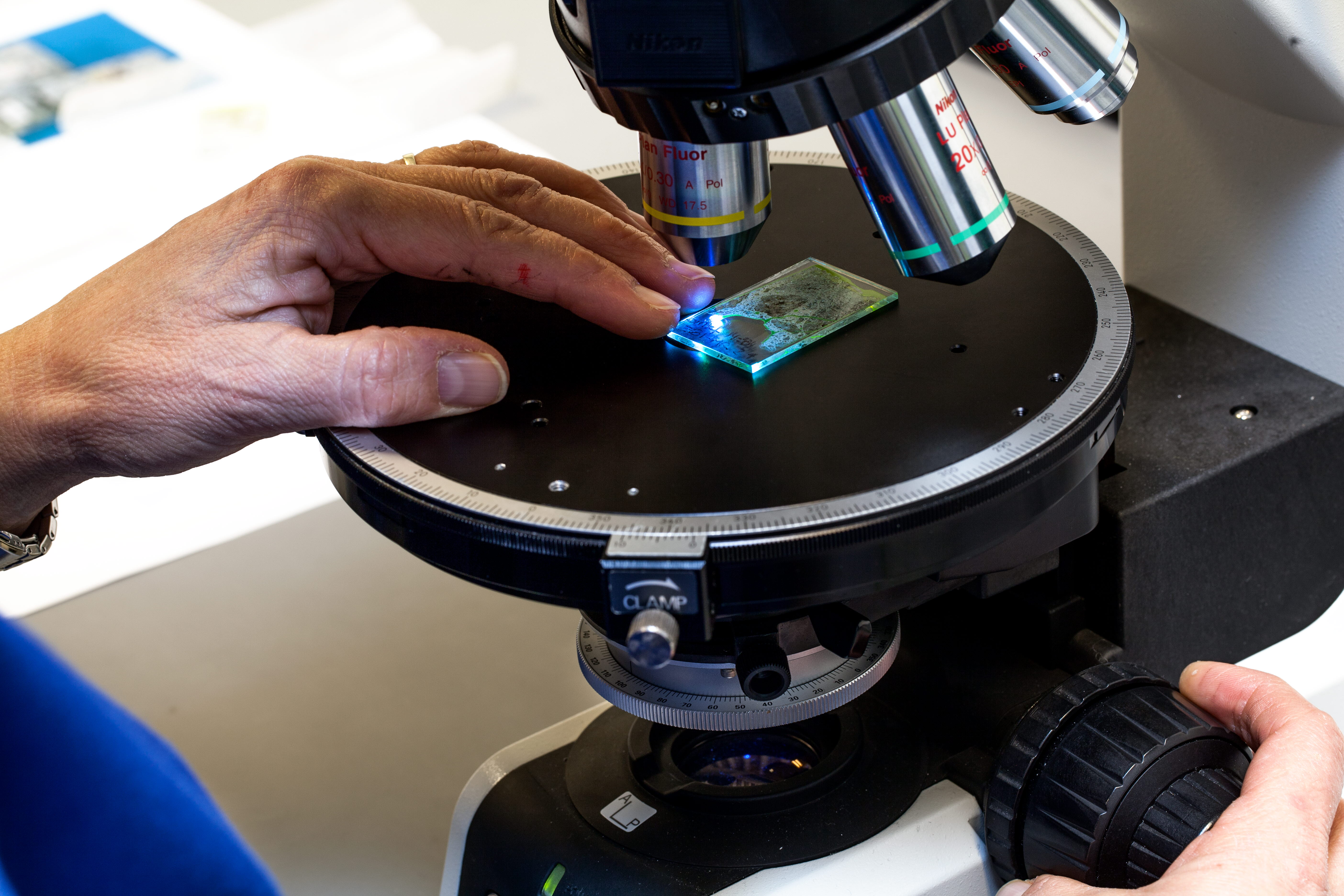 Investigation of a fluorescence impregnated thin section of concrete