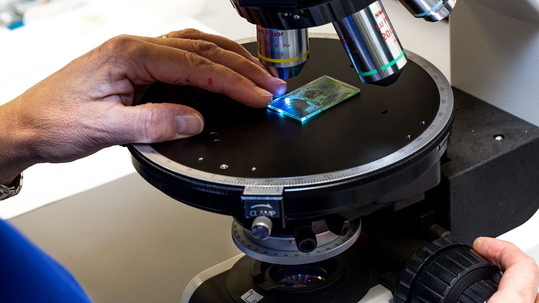 Investigation of a fluorescence impregnated thin section of concrete