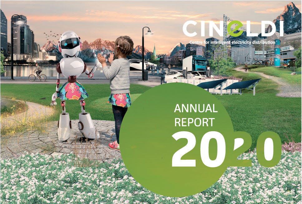 CINELDI Annual report 2020