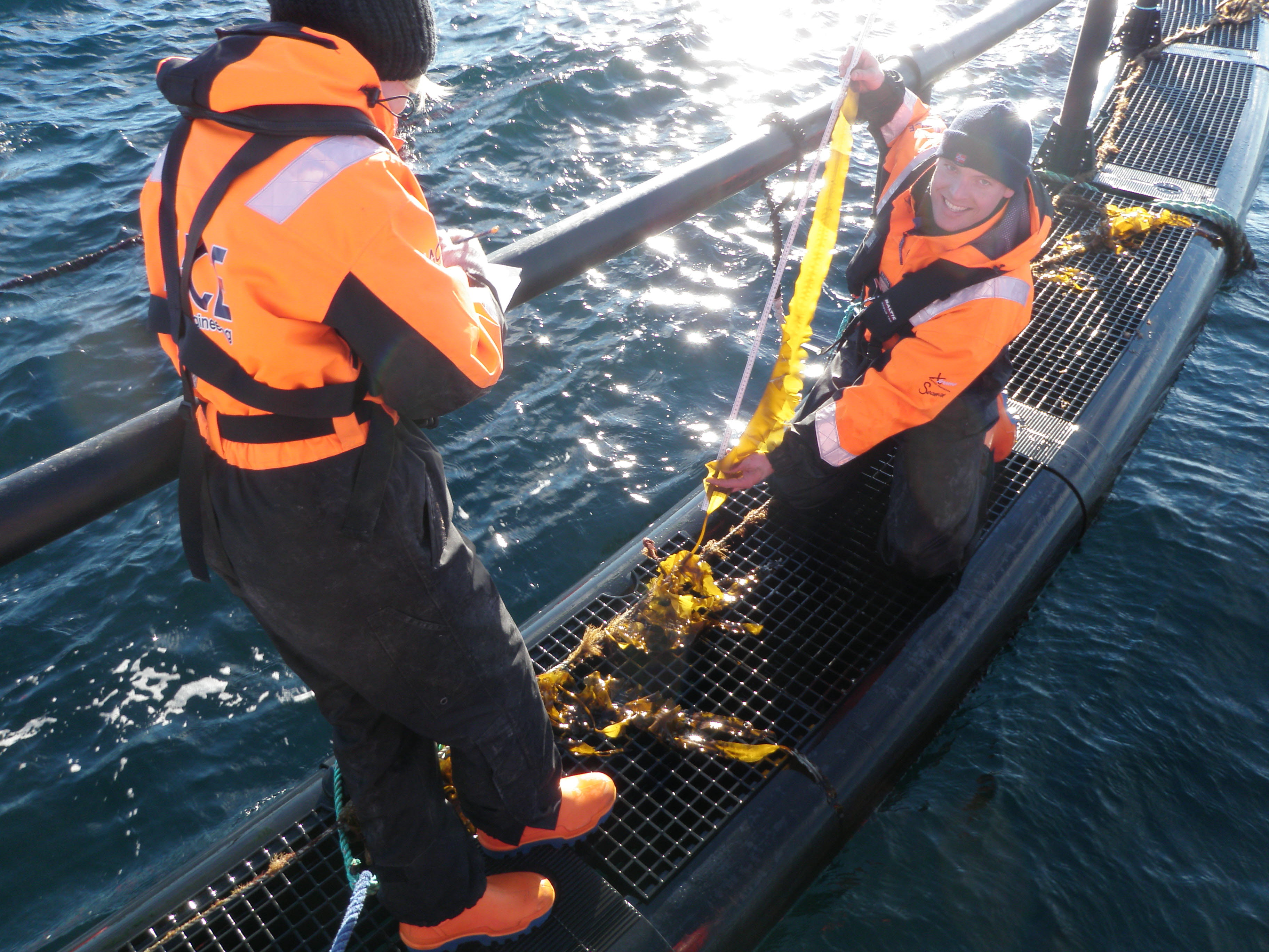 Integrert oppdrett skal redusere utslipp