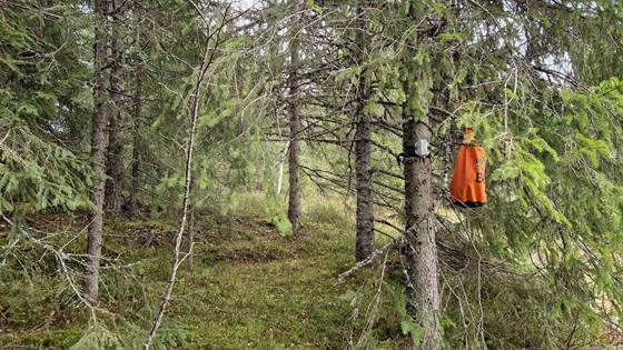 Biodiversity monitoring based on bioacoustics and AI