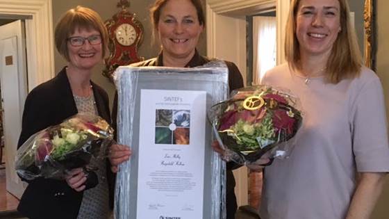 SINTEFs pris for fremragende forskning