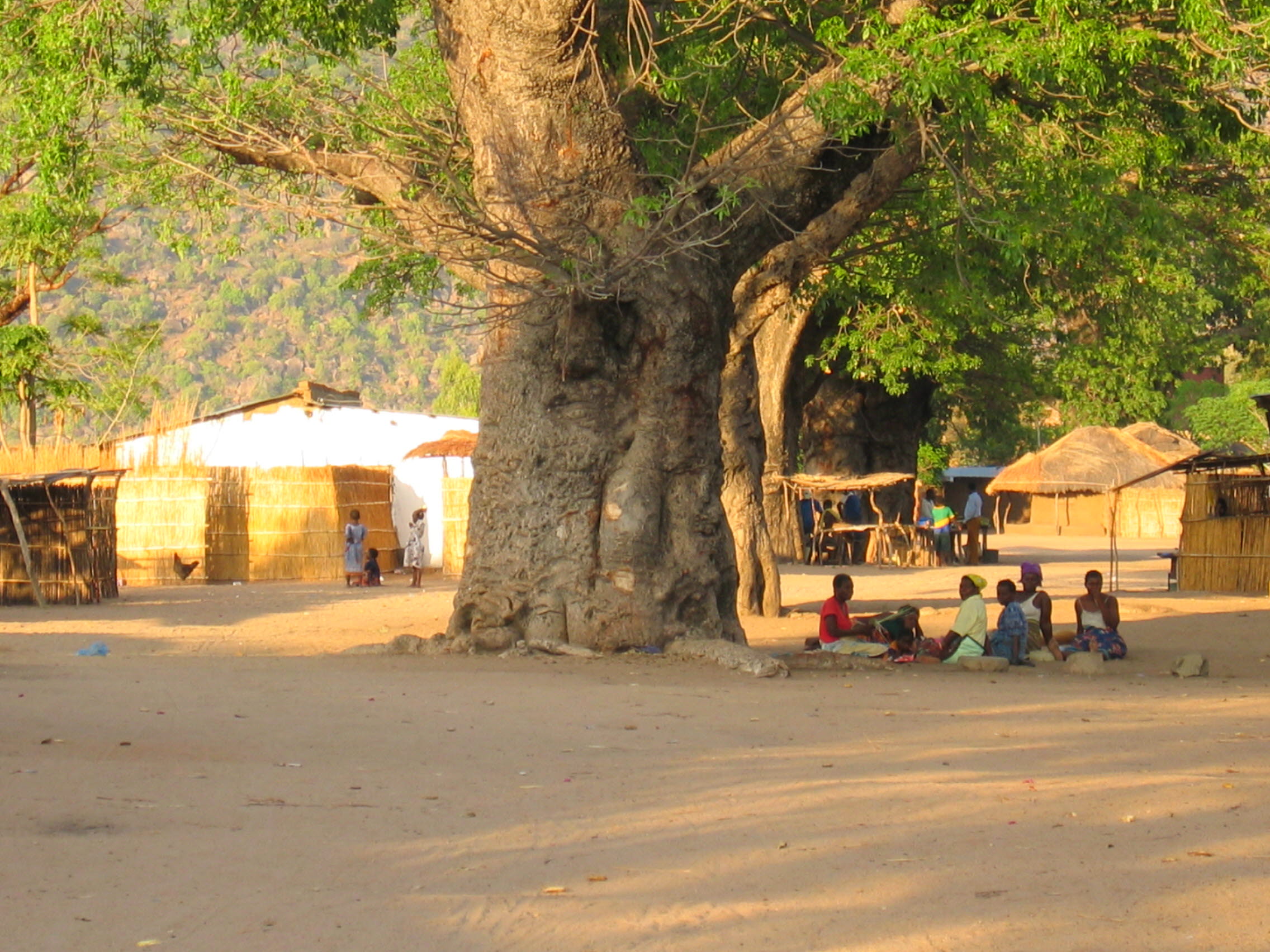 Substance use and gender based violence in Malawi