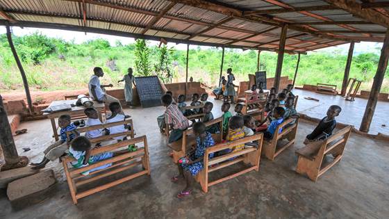 Education outcome variability in children with disabilities: Structure, Institution or Agency (EVID)?