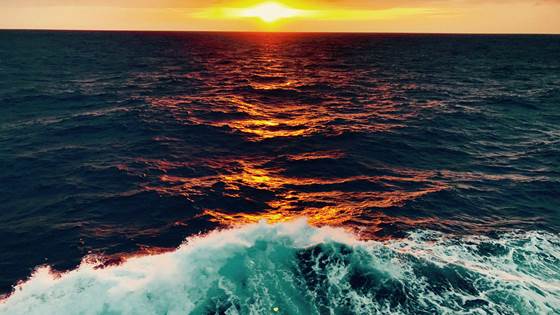 388 ganger er ordet hav nevnt, men regjeringen har ingen mål om vern