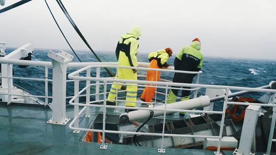 Over 1 million tonn restråstoff fra norsk sjømatnæring