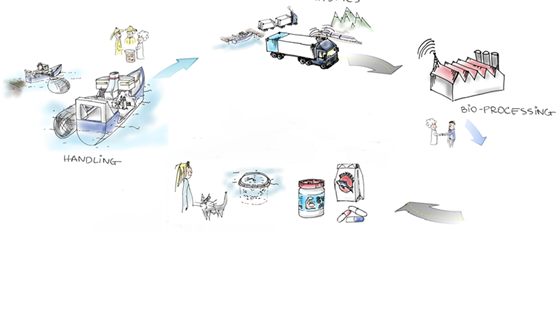 VALUMICS - Understanding food value chain and network dynamics