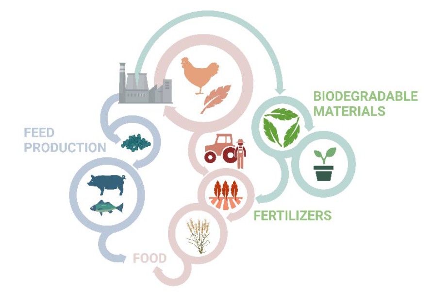 Diagram that shows the vision for the TipTop project