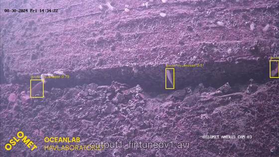 Robust Fish Species Identification