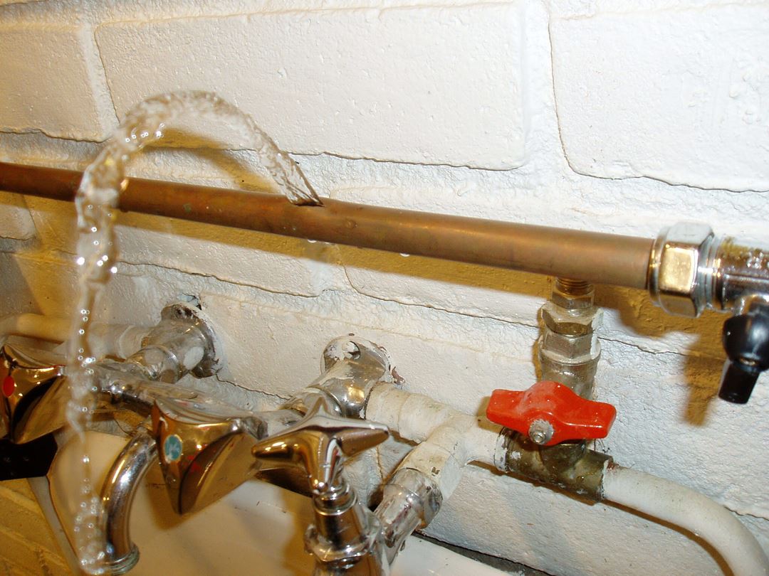 Norsk Vannskadedag 2020