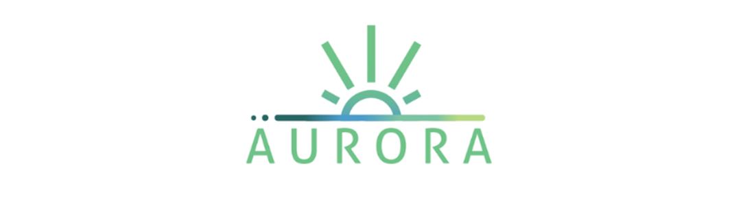 AURORA – Accelerated Deployment of Integrated CCUS Chains based on ...