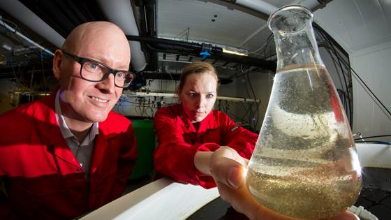 SINTEF-knoppskudd bygger fabrikk for yngelfôr