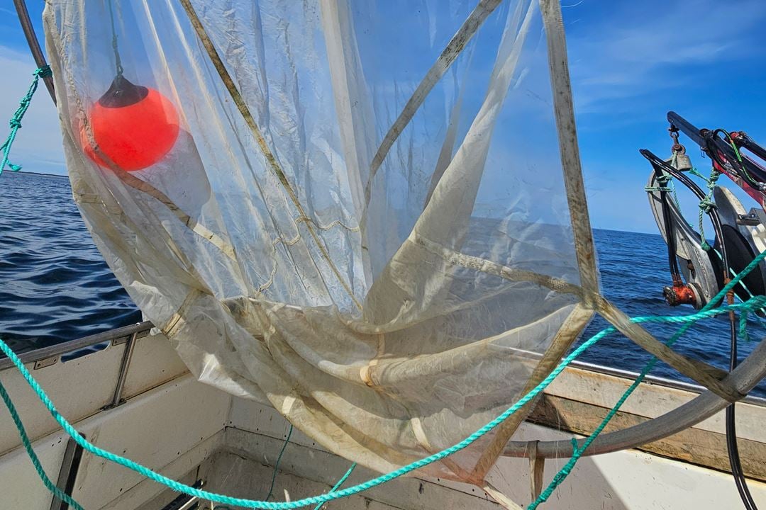 Nærbilde av finmasket trålenett