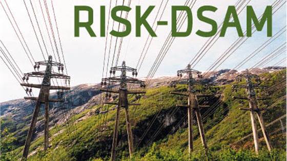 RISK-DSAM Risk-based Distribution System Asset Management