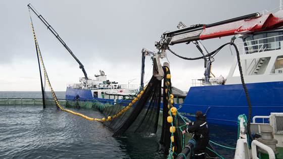 Kunnskap og metoder for å forebygge rømming
