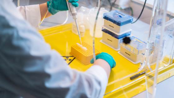 Etterlyser en nasjonal strategi for bioinnovasjon