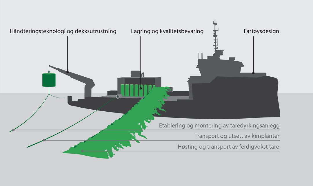 Illustrasjon av fartøy for taredyrking